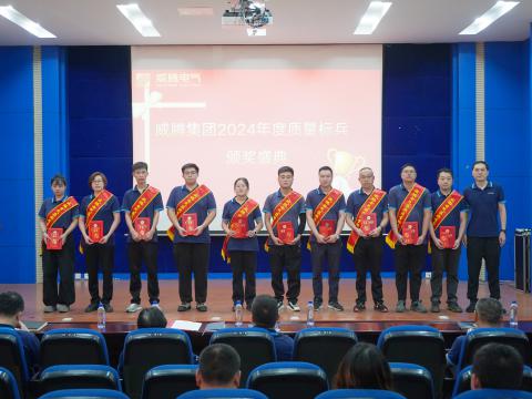 pp电子电气集团召开2024年度质量月总结表扬大会