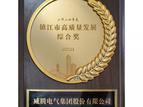 喜讯│pp电子荣获2024年度镇江市高质量开展综合奖